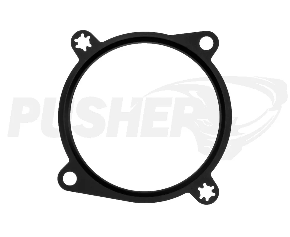 fassmotorsports193609027