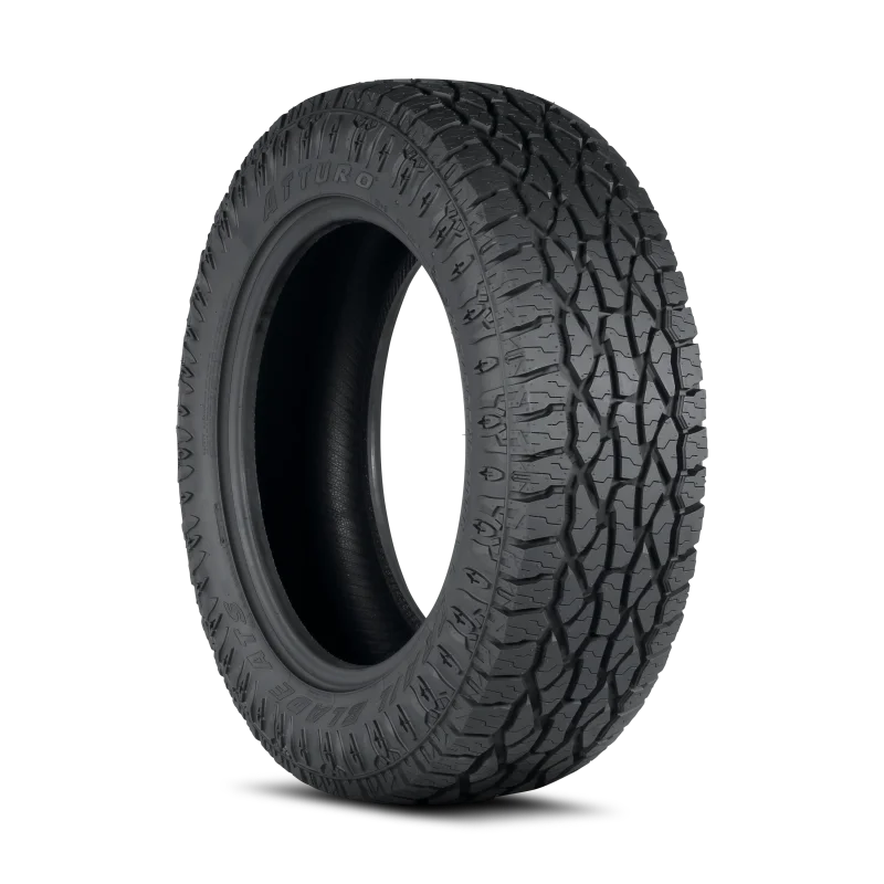 fassmotorsports73596531