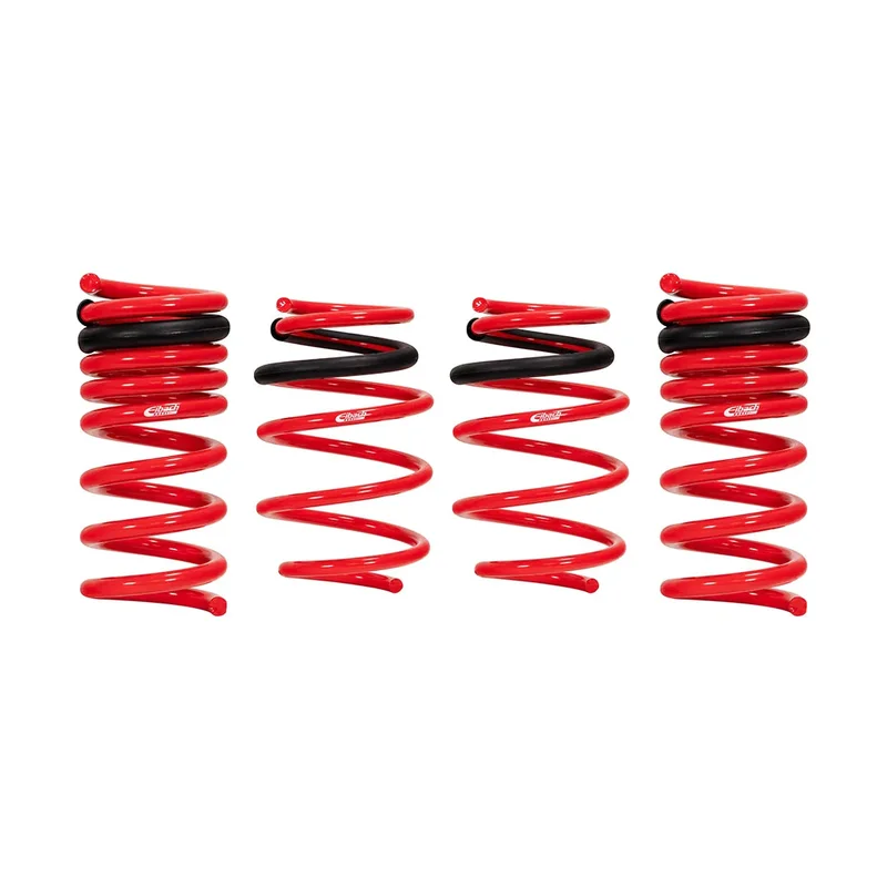 fasthemis13614309