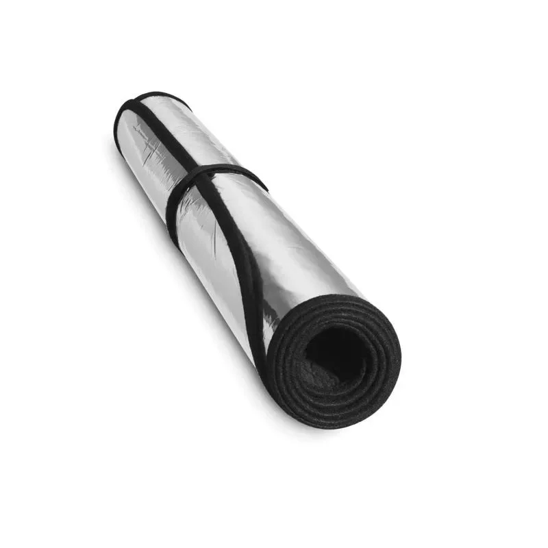 fasthemis33926647
