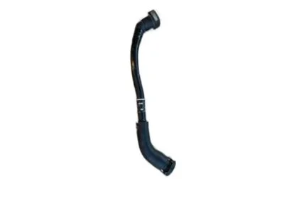 moparpartsgiant11-4359883
