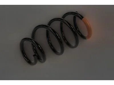 moparpartsgiant16-4471190